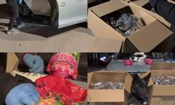 Kahramanmaraş'ta 170 bin adet uyuşturucu hap ele geçirildi