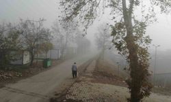 Kahramanmaraş'ta sis etkili oldu