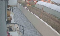 Kalp krizi geçiren adam duvarın üzerinden bahçeye düştü