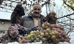 Kara kışa meydan okuyan lezzet: Kışlık üzüm dalından koparıldı