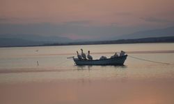 Karacabey'de çeltik ekimi yasaklandı
