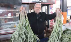 Karaciğer dostu enginar pazarda yoğun ilgi görüyor