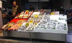 Karadeniz'de hamsi bereketi yaşanıyor