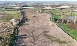 Karadeniz'in en büyük incir projesi: 50 milyon TL gelir kız çocuklarına verilecek