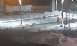 Karayazı'da akşam saatlerinde kurt alarmı