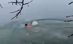 Karlı havada Dicle Nehri'ne daldı