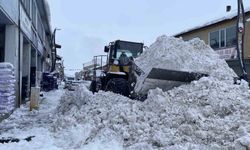 Karlıova'da karla mücadele çalışmaları başladı