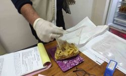 Kars'ta gıda kontrolleri sürüyor