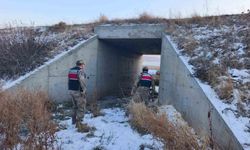 Kars'ta jandarmadan huzurlu okul uygulaması