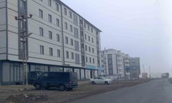 Kars'ta Kasım ayında 595 konut satıldı