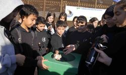 Kartal'da çevre bilincini artıran çifte etkinlik