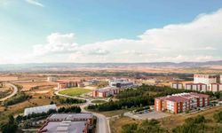 Kastamonu Üniversitesi'nin kayın kontrplak üretimine yönelik çalışması tescillendi