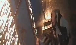 Kayseri'de esnaf boğazına şeker kaçan çocuğu heimlich manevrasıyla kurtardı... O anlar kamerada