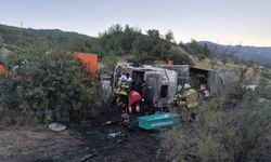 Kaza yaptıktan sonra alevlere teslim olan tırdaki 2 kişi öldü, taşınan anguslar otobana yayıldı