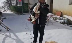 Kazından helallik istedi