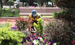 Keçiören'de seradan parklara uzanan yeşil yolculuk