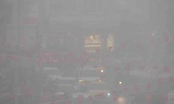 Kilis'te yoğun sis etkili oldu