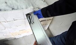 Kırklareli'nde su ürünleri denetimi