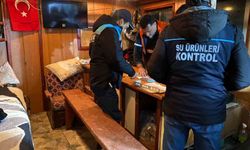 Kırklareli'nde su ürünlerine sıkı denetim: Kurallara uymayan balıkçılara 75 bin 540 lira para cezası