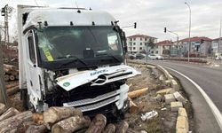 Kontrolden çıkan tır, kereste fabrikasının deposuna girdi