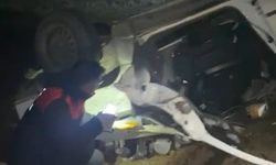 Köpekten kaçmak isterken takla attı