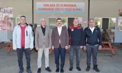 Köyceğiz Kaymakamı Kumcu, zeytinyağı fabrikasında inceleme yaptı