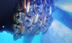 Küçükçekmece'de Alatepe Tankeri pervanesine dolanan zincir su altından görüntülendi