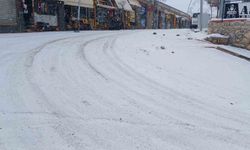 Kulp'ta kar nedeniyle yaşam durma noktasına geldi