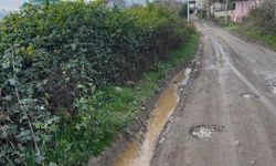 Mahallenin yıllardır süren yol çilesi vatandaşı isyan ettirdi