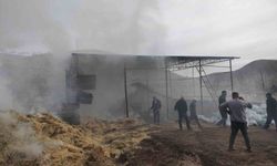 Malatya'da besi çiftliğinde yangın