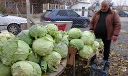 Malatya'da çiftçiler alternatif ürünlerle zararlarını telefi ediyor