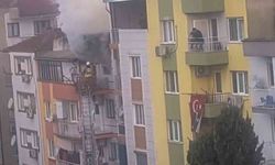 Manisa'da ev yangını: 6 kedi telef oldu