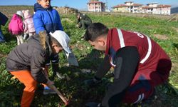 Manisa'da yanan alanlara 100 bininci fidan dikildi