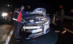 Mardin'de otomobilin çarptığı at telef oldu