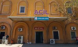 Mardin'de tırın çarptığı yaşlı kadın hayatını kaybetti