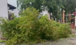 Marmaris'te sağanak etkili oldu