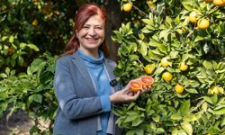 Mersin kan portakalında hedef AB tescili