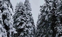 Meteorolojinin uyardığı Çankırı'da kar yağışı etkili oldu