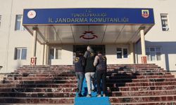 Milyonlarca liralık 'sahte gönül ilişkisi' oyununu jandarma bozdu