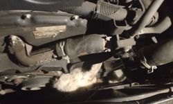 Minibüsün motoruna sıkışan kedi kurtarıldı
