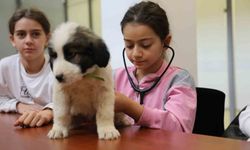 Minik veterinerler görev başında