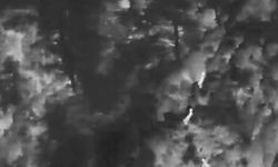 Muğla'da yaban hayatına 'dron' kalkanı