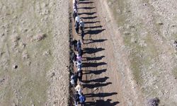 Muş'ta 'Adımlarla Keşfet' projesi kapsamında doğa yürüyüşü