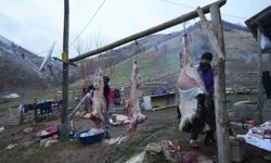 Muş'ta asırlık kavurma geleneği yaşatılıyor