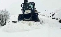 Muş'ta kar ve tipi nedeniyle kapanan 26 yerleşim yeri ulaşıma açıldı