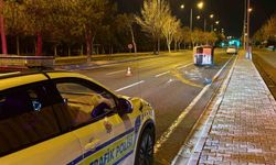 Önüne köpek çıkan araç yan yattı: 2 yaralı