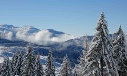 Ordu'da kartpostallık kar manzaraları