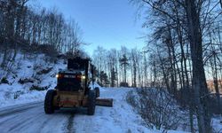 Osmangazi'de kar sonrası buzlanmaya karşı seferberlik