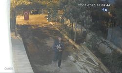 Osmaniye'de kümeslerden tavuk çalan zanlı tutuklandı