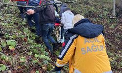 Otomobil ormanlık alana uçtu, 2 yaralı